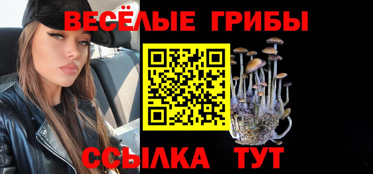 Галлюциногенные грибы Psilocybine cubensis  Галлюциногенные грибы прущие грибы  Костомукша  Вход с VPN 