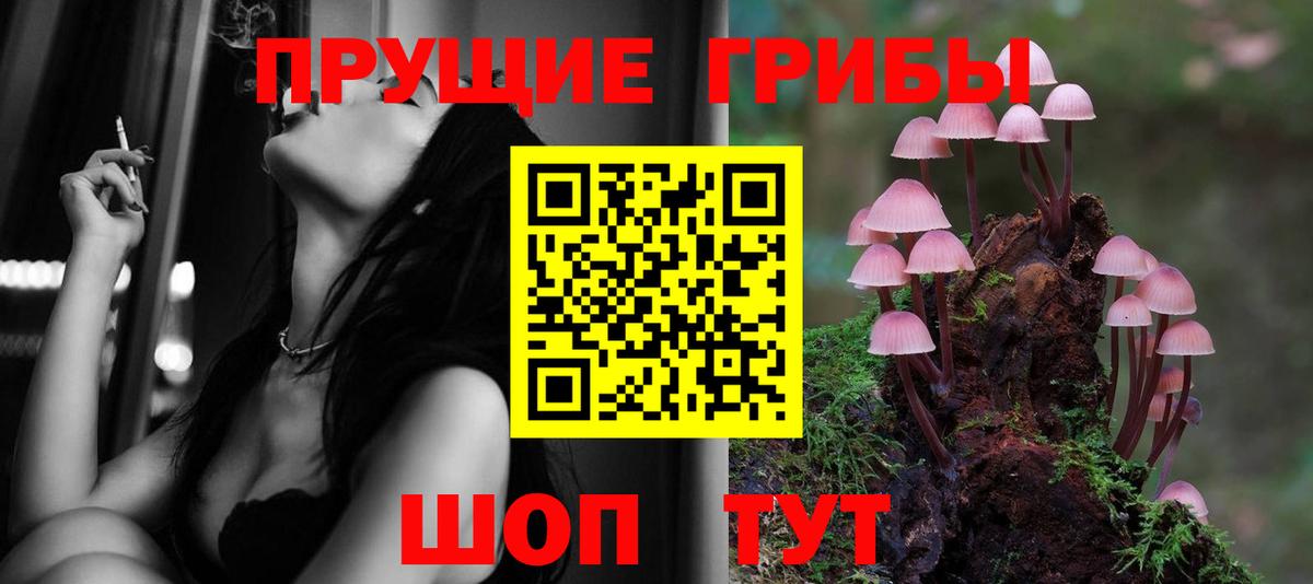 Псилоцибиновые грибы GOLDEN TEACHER Костомукша